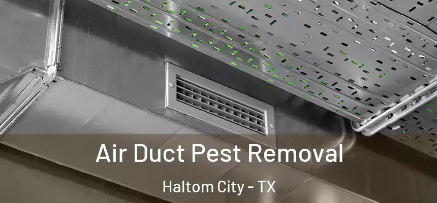  Air Duct Pest Removal Haltom City - TX