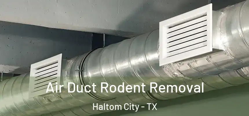  Air Duct Rodent Removal Haltom City - TX