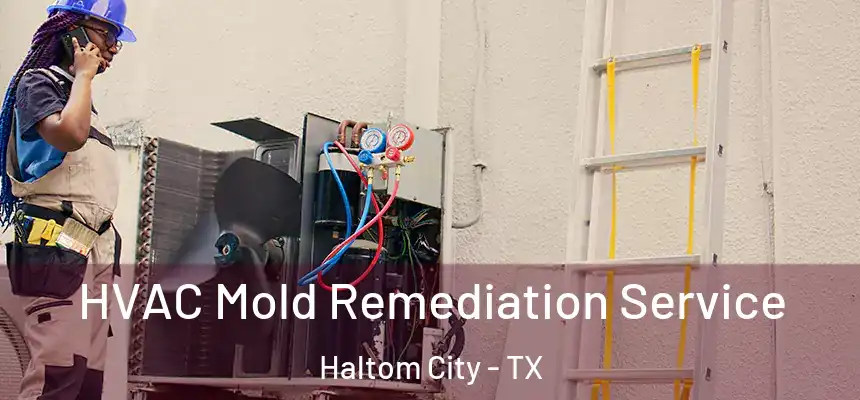  HVAC Mold Remediation Service Haltom City - TX
