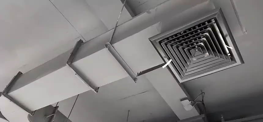 Restorative Allergy Relief Vent Cleaning – Coil, Blower & Housing Detail in Haltom City