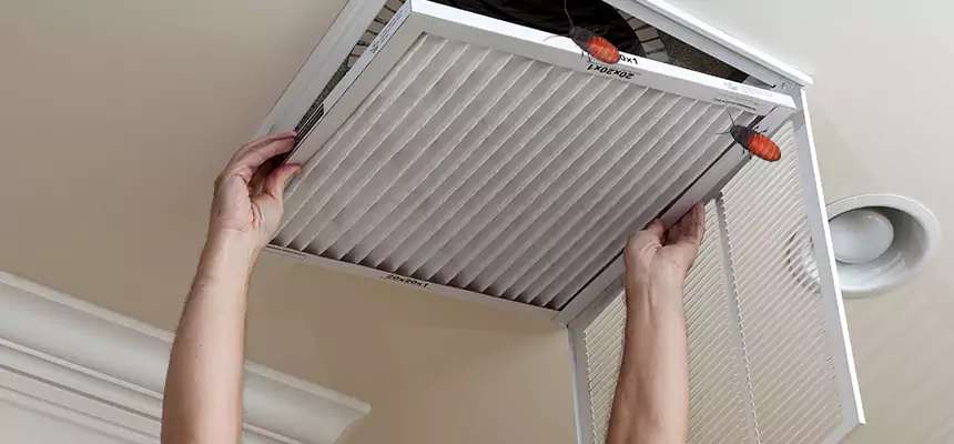 Our Insect Removal from Air Ducts Services in Haltom City, TX