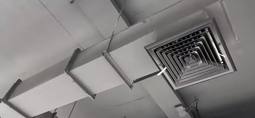 Our Rodent Droppings In Vents Services in Haltom City, TX