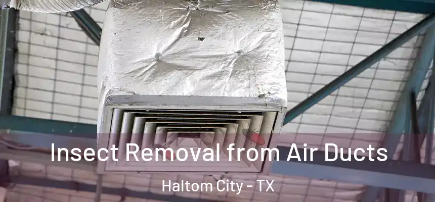  Insect Removal from Air Ducts Haltom City - TX