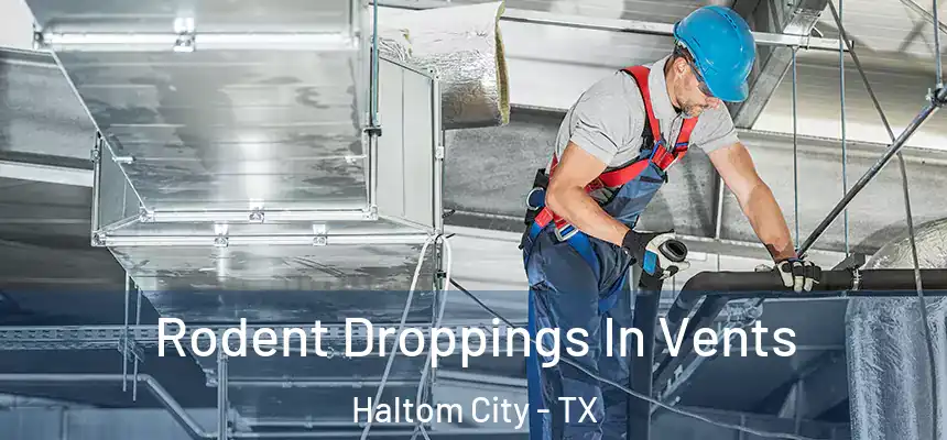  Rodent Droppings In Vents Haltom City - TX