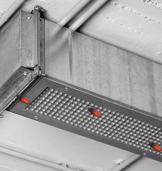 About Air Duct Cockroach Removal in Haltom City, TX
