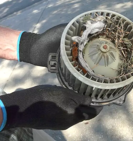 About Air Duct Mice Removal in Haltom City, TX