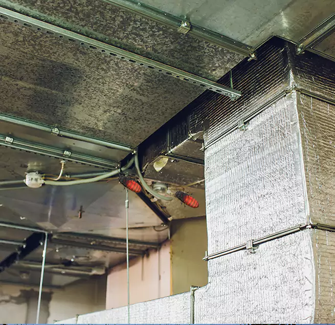 Why Homeowners & Businesses Trust Us in Haltom City, TX?