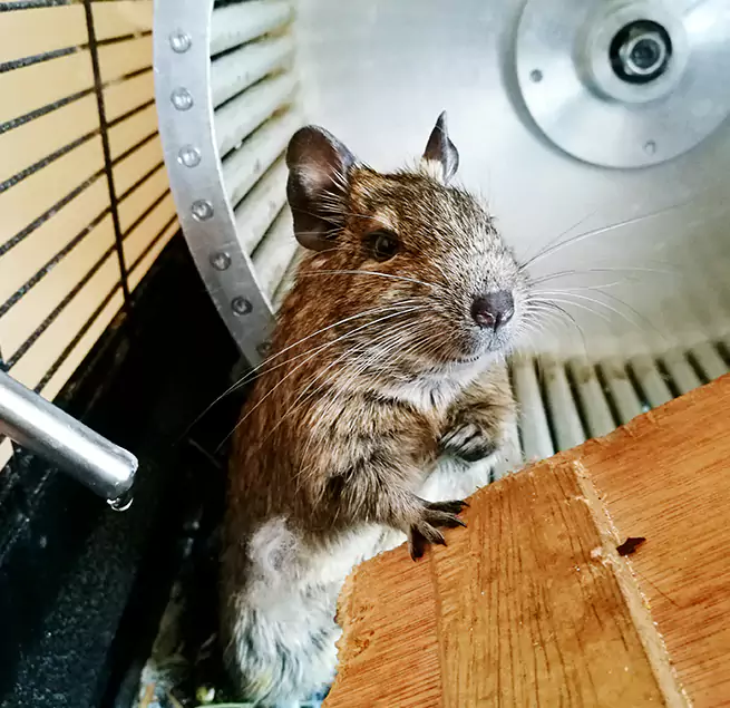 Why Homeowners & Businesses Trust Us Haltom City, TX