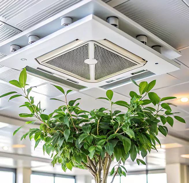 Why Homeowners & Businesses Trust Us in Haltom City, TX