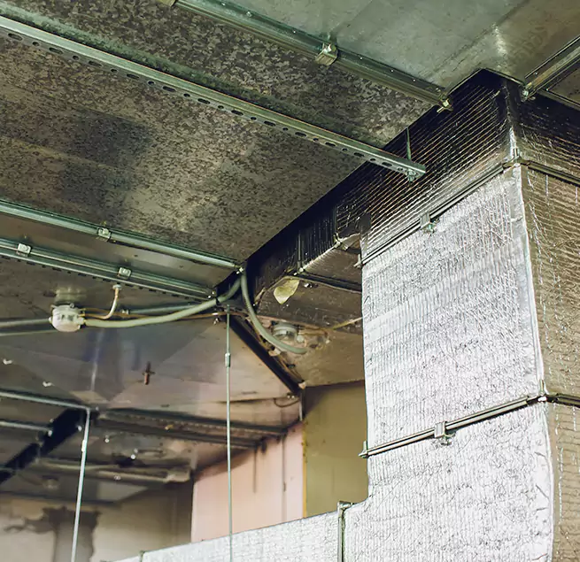 Why Homeowners & Businesses Trust Us in Haltom City, TX?